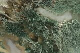 Polished Moss Agate Navette-Shaped Cabochon - Indonesia #228451-1